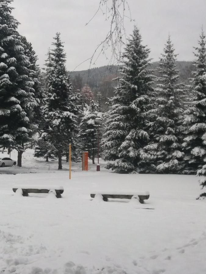 Hotel Ceska Farma Dolni Dvur Bagian luar foto