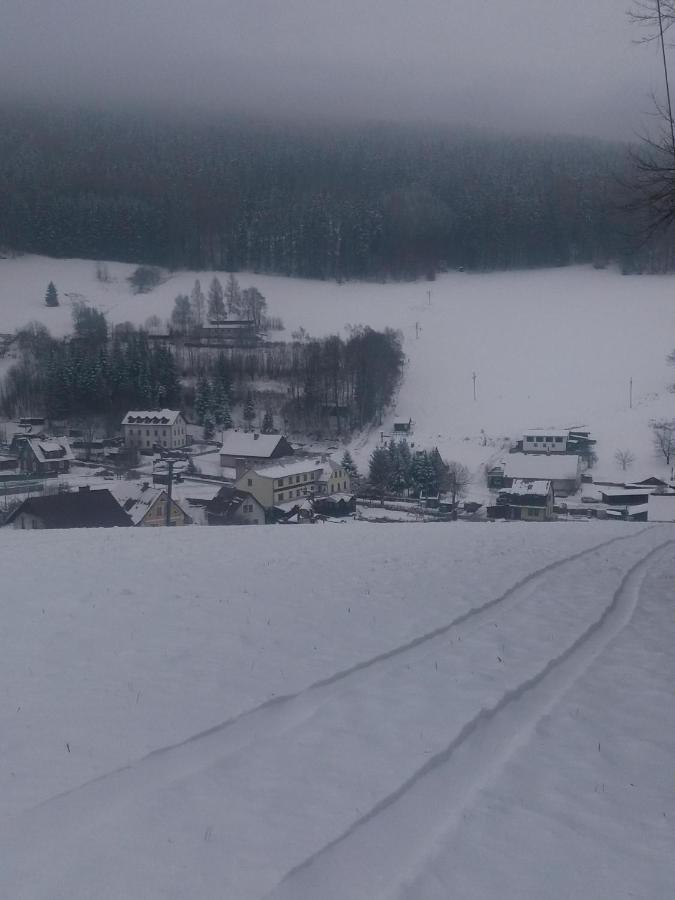 Hotel Ceska Farma Dolni Dvur Bagian luar foto