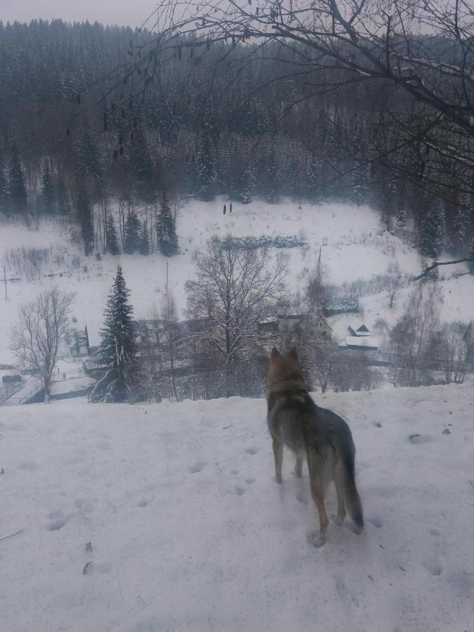 Hotel Ceska Farma Dolni Dvur Bagian luar foto